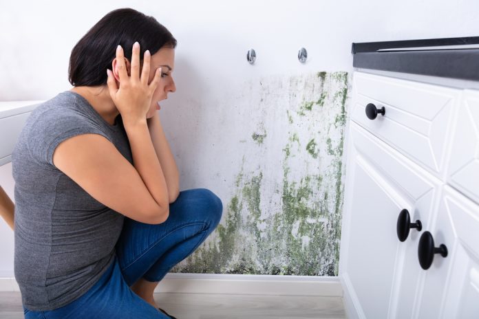 Woman Looking At Mold On Wall